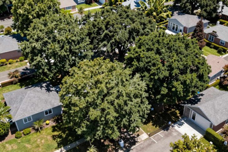 7 Surprising Factors That Drive Home Prices in a Neighborhood (2026)