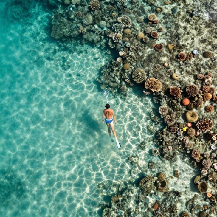 Lone snorkeler floating above a healthy coral reef in the clear turquoise water of a Philippine island lagoon